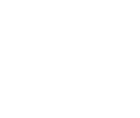 Home Icon